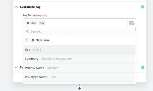 Screenshot of Zapier Tag Name